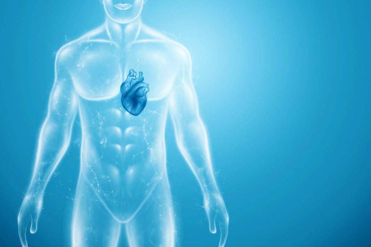 Основные советы по поддержанию здоровья сердца – 2